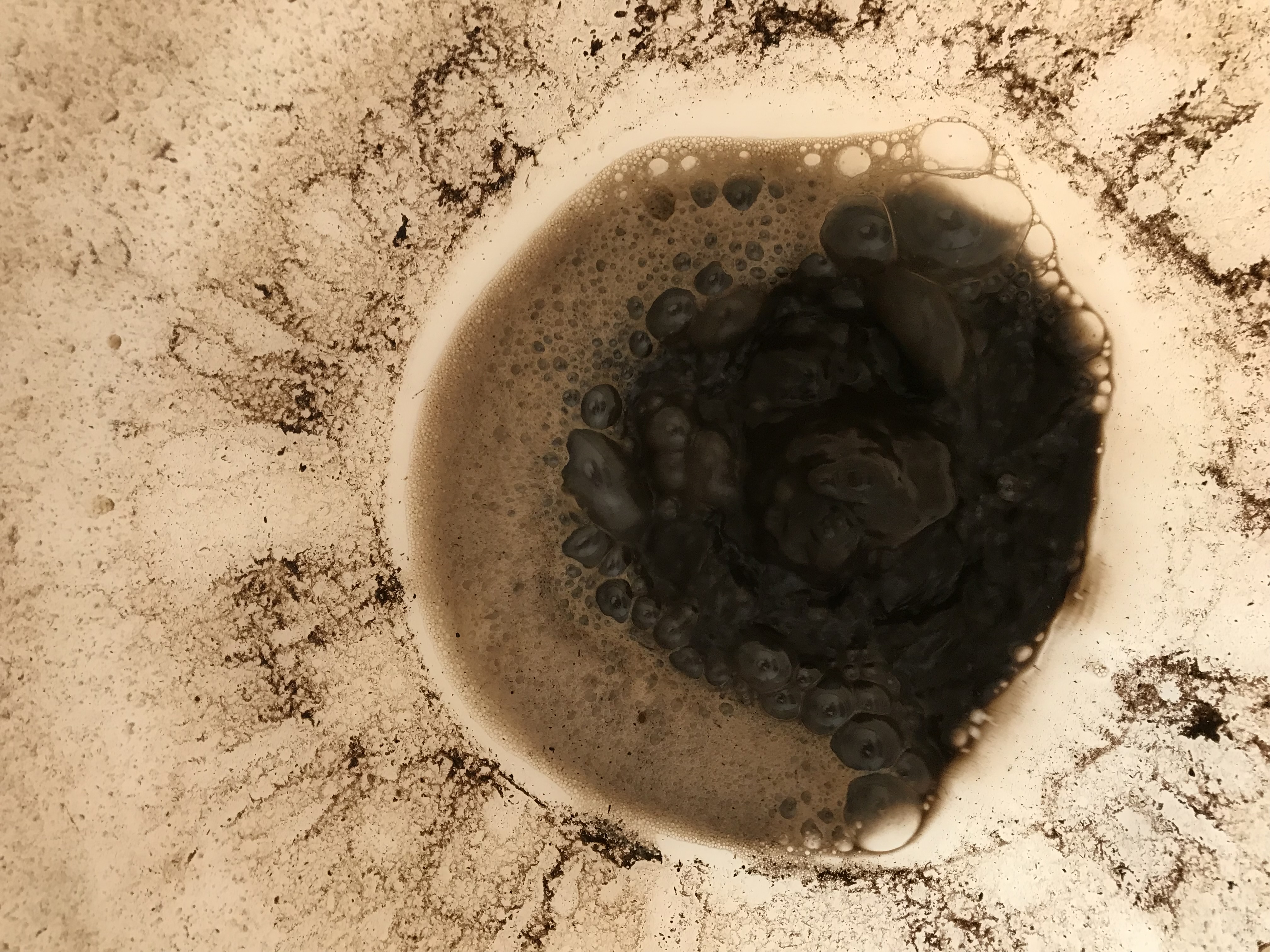 Compost  tea Brewing