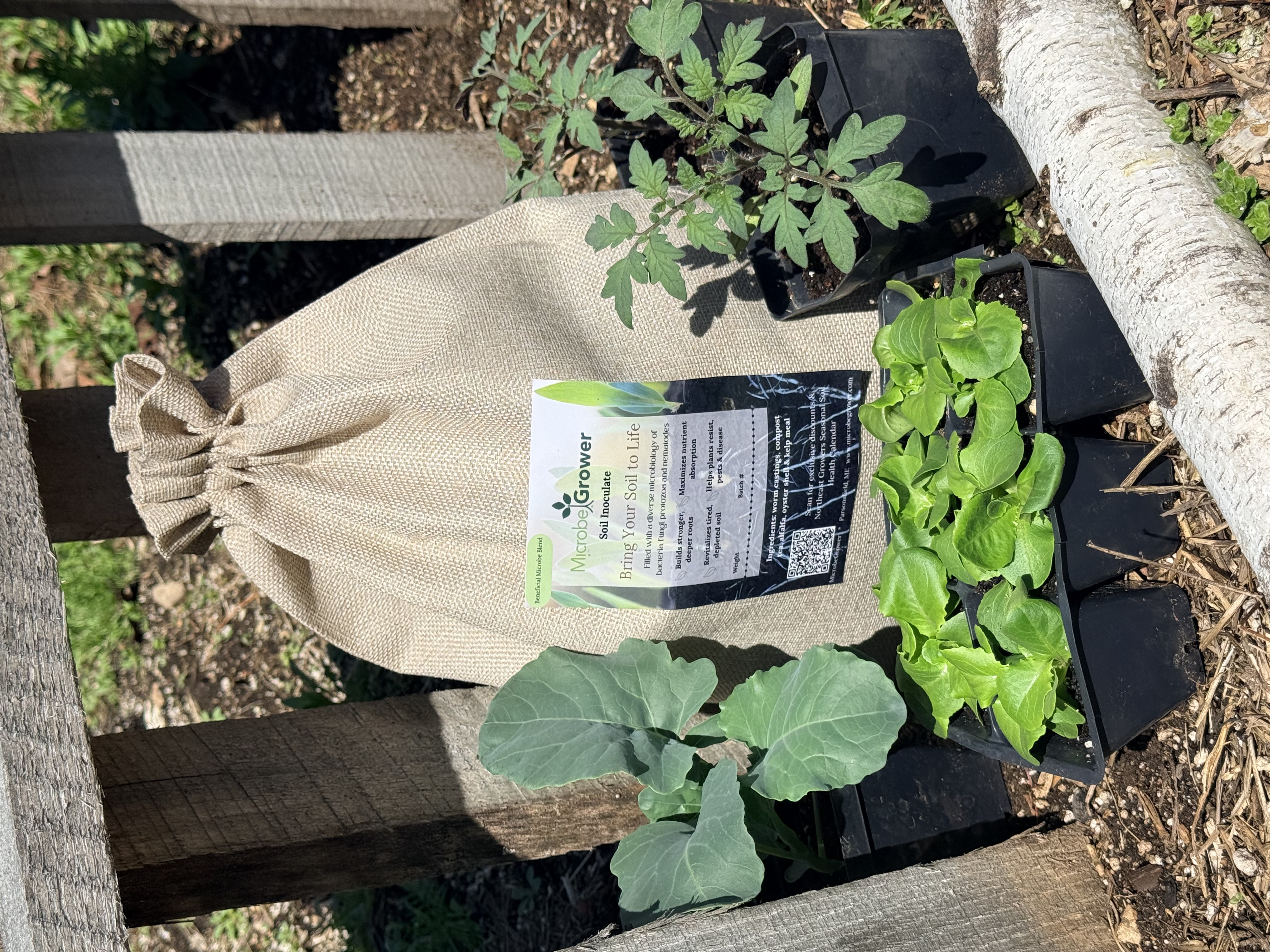 Your Soil is missing something